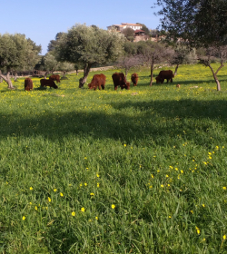 Fattoria Terra E Libertà